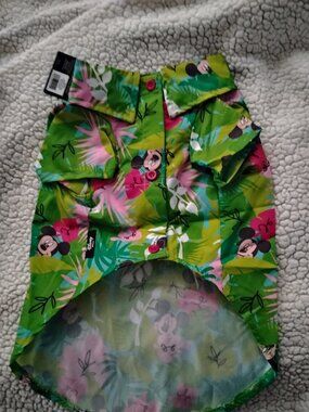 Disney shirt from Chewy